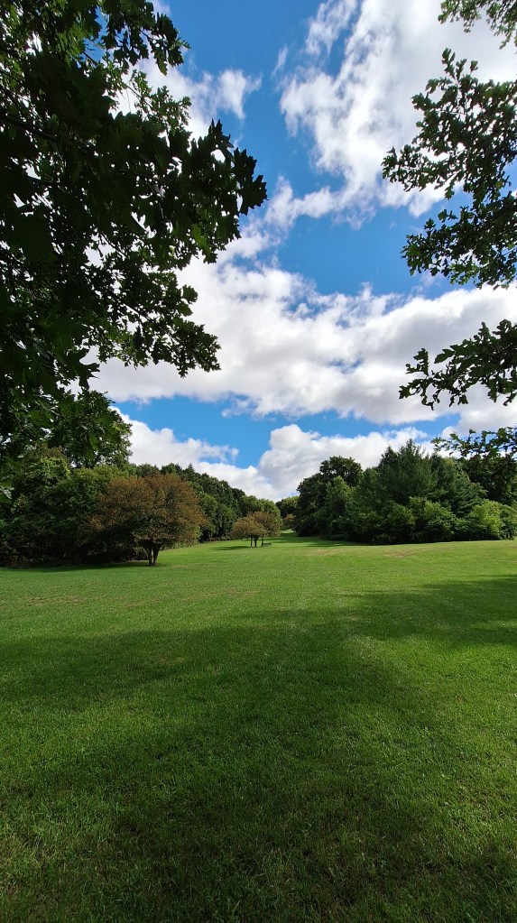 Toronto clouds in a park